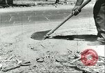 Standbild Ablagerungen Sizilien Italien, 1943, aus Sekunde 29 historischem Filmmaterial Videoclip 65675066883