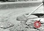 Standbild Ablagerungen Sizilien Italien, 1943, aus Sekunde 34 historischem Filmmaterial Videoclip 65675066883