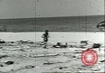 Image of Allied soldiers Sicily Italy, 1943, second 35 stock footage video 65675066885