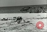 Image of Allied soldiers Sicily Italy, 1943, second 40 stock footage video 65675066885