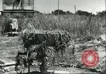 Image Cape Rasocolmo Sicile Italie, 1943, de la seconde 3 séquences d'archives historiques vidéo 65675066886