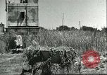 Image Cape Rasocolmo Sicile Italie, 1943, de la seconde 5 séquences d'archives historiques vidéo 65675066886