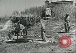 Image of Allied soldiers Sicily Italy, 1943, second 3 stock footage video 65675066887