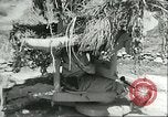 Image of Allied soldiers Sicily Italy, 1943, second 12 stock footage video 65675066887