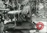 Image of Allied soldiers Sicily Italy, 1943, second 14 stock footage video 65675066887