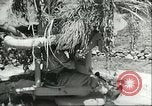 Image of Allied soldiers Sicily Italy, 1943, second 20 stock footage video 65675066887