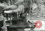 Image of Allied soldiers Sicily Italy, 1943, second 26 stock footage video 65675066887