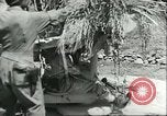 Image of Allied soldiers Sicily Italy, 1943, second 28 stock footage video 65675066887