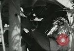 Image of Allied soldiers Sicily Italy, 1943, second 31 stock footage video 65675066887