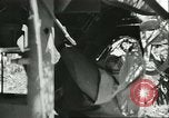 Image of Allied soldiers Sicily Italy, 1943, second 41 stock footage video 65675066887