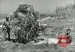 Image of Allied soldiers Sicily Italy, 1943, second 43 stock footage video 65675066887