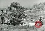 Image of Allied soldiers Sicily Italy, 1943, second 44 stock footage video 65675066887