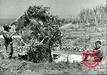 Image of Allied soldiers Sicily Italy, 1943, second 45 stock footage video 65675066887