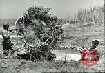 Image of Allied soldiers Sicily Italy, 1943, second 46 stock footage video 65675066887