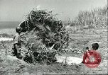 Image of Allied soldiers Sicily Italy, 1943, second 49 stock footage video 65675066887