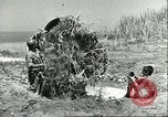 Image of Allied soldiers Sicily Italy, 1943, second 51 stock footage video 65675066887