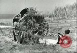 Image of Allied soldiers Sicily Italy, 1943, second 52 stock footage video 65675066887