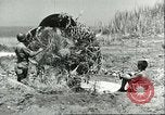 Image of Allied soldiers Sicily Italy, 1943, second 54 stock footage video 65675066887