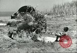 Image of Allied soldiers Sicily Italy, 1943, second 55 stock footage video 65675066887