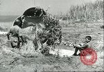 Image of Allied soldiers Sicily Italy, 1943, second 58 stock footage video 65675066887