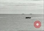 Standbild US-Truppen üben Amphibious Assault Anlandungen in England Dartmouth England, 1944, aus Sekunde 6 historischem Filmmaterial Videoclip 65675066890