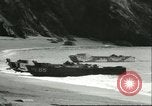 Standbild US-Truppen üben Amphibious Assault Anlandungen in England Dartmouth England, 1944, aus Sekunde 48 historischem Filmmaterial Videoclip 65675066890