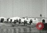Image of British troops Sicily Italy, 1943, second 21 stock footage video 65675066891