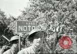 Immagine di Le truppe britanniche Sicilia Italia, 1943, secondo 8 filmato di repertorio 65675066893
