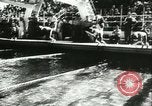 Image natation rencontrer Toulouse France, 1943, de la seconde 3 séquences d'archives historiques vidéo 65675066908