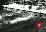 Image natation rencontrer Toulouse France, 1943, de la seconde 33 séquences d'archives historiques vidéo 65675066908