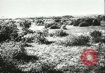 Image l'artillerie allemande Eastern Front théâtre européen, 1943, de la seconde 8 séquences d'archives historiques vidéo 65675066911