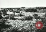 Image l'artillerie allemande Eastern Front théâtre européen, 1943, de la seconde 9 séquences d'archives historiques vidéo 65675066911
