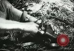Image l'artillerie allemande Eastern Front théâtre européen, 1943, de la seconde 38 séquences d'archives historiques vidéo 65675066911