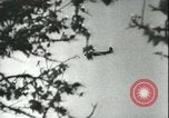 Image planeurs allemands Sicile Italie, 1942, de la seconde 28 séquences d'archives historiques vidéo 65675066914