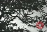 Image planeurs allemands Sicile Italie, 1942, de la seconde 29 séquences d'archives historiques vidéo 65675066914