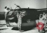 Image planeurs allemands Sicile Italie, 1942, de la seconde 50 séquences d'archives historiques vidéo 65675066914