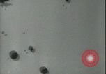 Image des parachutistes allemands en Sicile Sicile Italie, 1943, de la seconde 24 séquences d'archives historiques vidéo 65675066915