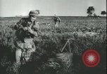 Image des parachutistes allemands en Sicile Sicile Italie, 1943, de la seconde 57 séquences d'archives historiques vidéo 65675066915