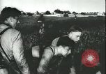 Image des parachutistes allemands en Sicile Sicile Italie, 1943, de la seconde 61 séquences d'archives historiques vidéo 65675066915