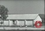 Standbild 11 Feldlazarett Sizilien Italien, 1943, aus Sekunde 17 historischem Filmmaterial Videoclip 65675066927