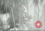 Image of Pacific Island Pacific Theater, 1943, second 23 stock footage video 65675066945
