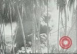 Image of Pacific Island Pacific Theater, 1943, second 24 stock footage video 65675066945