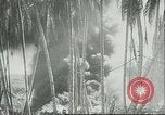 Image of Pacific Island Pacific Theater, 1943, second 25 stock footage video 65675066945