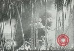 Image of Pacific Island Pacific Theater, 1943, second 26 stock footage video 65675066945