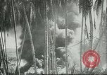 Image of Pacific Island Pacific Theater, 1943, second 27 stock footage video 65675066945