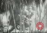 Image of Pacific Island Pacific Theater, 1943, second 28 stock footage video 65675066945