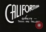 Standbild Nationalparks California United States USA, 1935, aus Sekunde 37 historischem Filmmaterial Videoclip 65675066948
