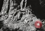 Standbild State Parks California United States USA, 1935, aus Sekunde 14 historischem Filmmaterial Videoclip 65675066949