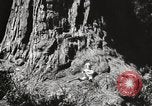 Standbild State Parks California United States USA, 1935, aus Sekunde 15 historischem Filmmaterial Videoclip 65675066949
