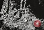 Standbild State Parks California United States USA, 1935, aus Sekunde 16 historischem Filmmaterial Videoclip 65675066949